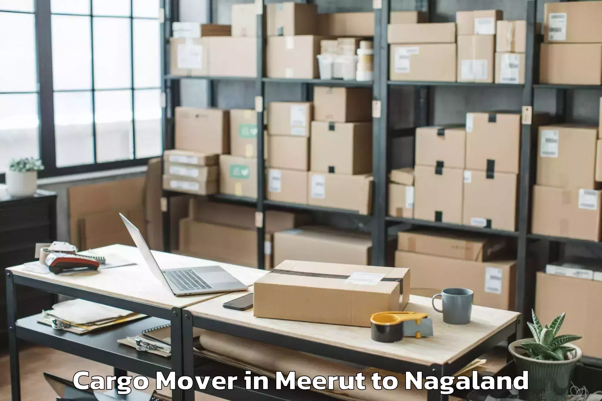 Book Meerut to Noksen Cargo Mover Online